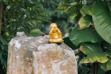 Sel Telur yang Telah Dibuahi oleh Sperma Akan Tumbuh di Dalam Bagian Organ Reproduksi yang Disebut - sel telur yang telah dibuahi oleh sperma akan tumbuh di dalam bagian organ reproduksi yang disebut